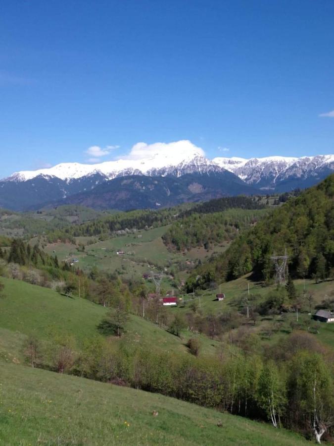 Nona Highland Home Моечу-де-Жос Экстерьер фото